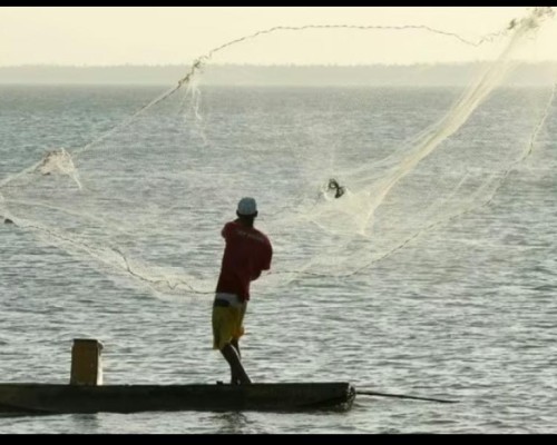 Maranhão lidera suspensões de licença de pesca no Brasil