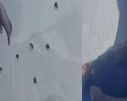 Duas crianças e um homem foram assassinados em Aldeias Altas